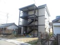 白子ビューティ