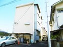 サングレイスII