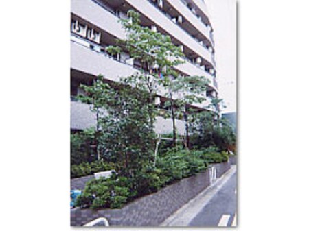ライオンズシティ武蔵小杉外観写真