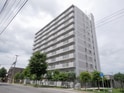シャローム