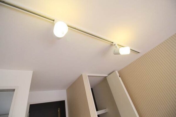 その他(スポットライト)