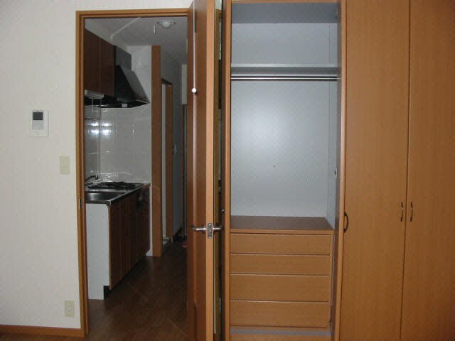 物件内観写真8　(201　洋室　収納)