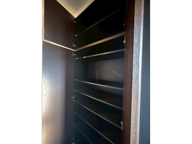 物件内観写真11　(シューズボックス)