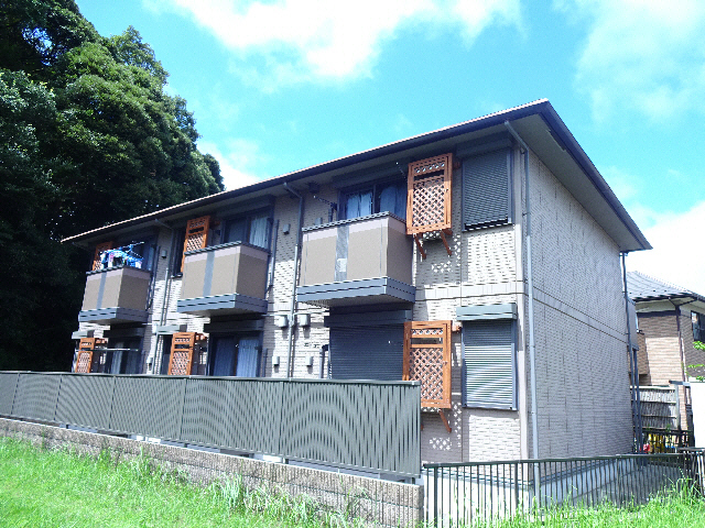 ｺﾝﾌｫｰﾙ