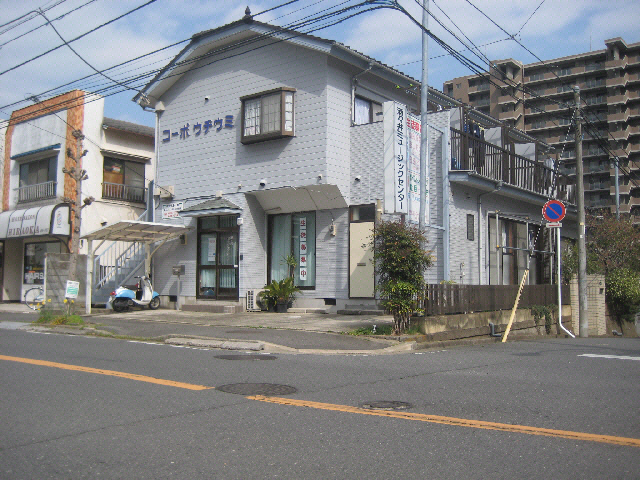 ｺｰﾎﾟｳﾁｳﾐ