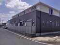 ﾉｰﾌﾞﾙ