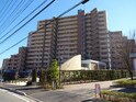 ﾊﾟｲﾝｽﾞﾏﾝｼｮﾝ成田