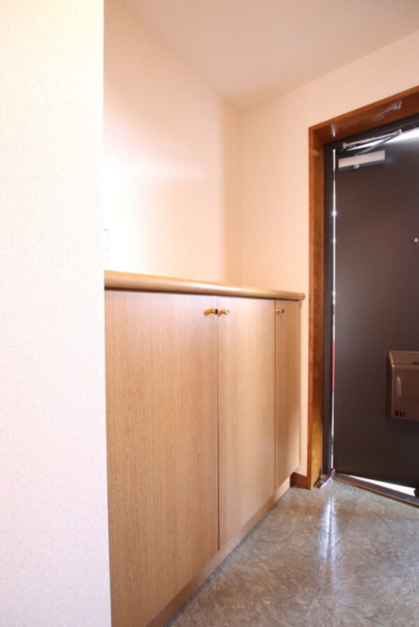 玄関(同一間取りの別部屋参考写真)