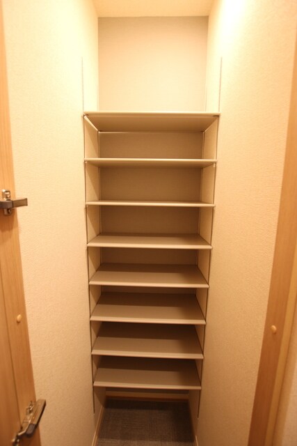 物件内観写真17　(収納力のある下駄箱)