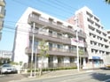 ＨＩＬＡ　ｔｅｒｒａｃｅ　湘南