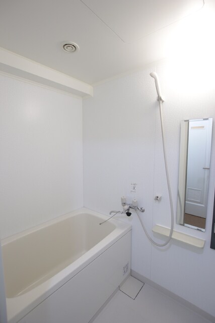 物件内観写真12　(明るい色調の浴室)