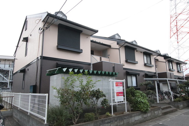 フリージア