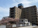19リアライズ千歳