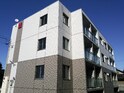 50リブオータム