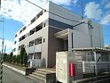 ３３ノーブル・カメリア