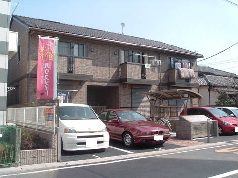 ロイヤルパイン