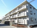 セントーサ西習志野？