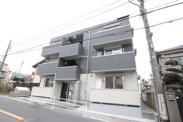 オリーブ
