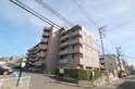 ミレブローズ・サダヒロ