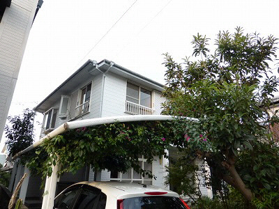 下原町　貸家