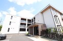 カーサルピナス