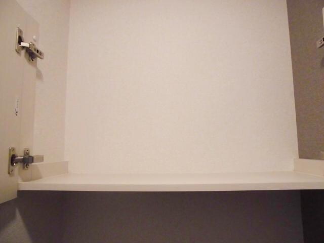 物件内観写真17　(トイレ上部収納)