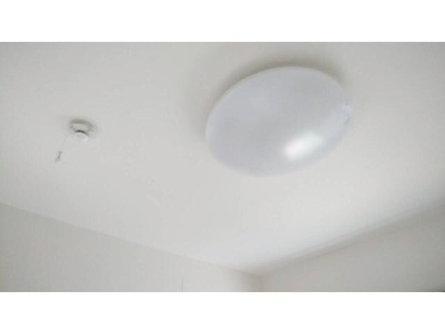 RAPIDO PASARLE ( ラピド・パサーレ )の居室(火災報知器・照明)