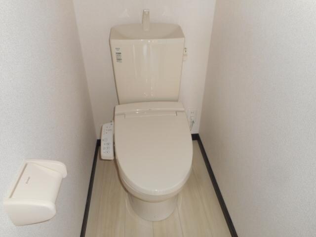 テット・アヤソラーレのトイレ