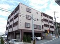 コンフォートT，ハイム