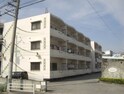 コートヴィレッジアラカキ