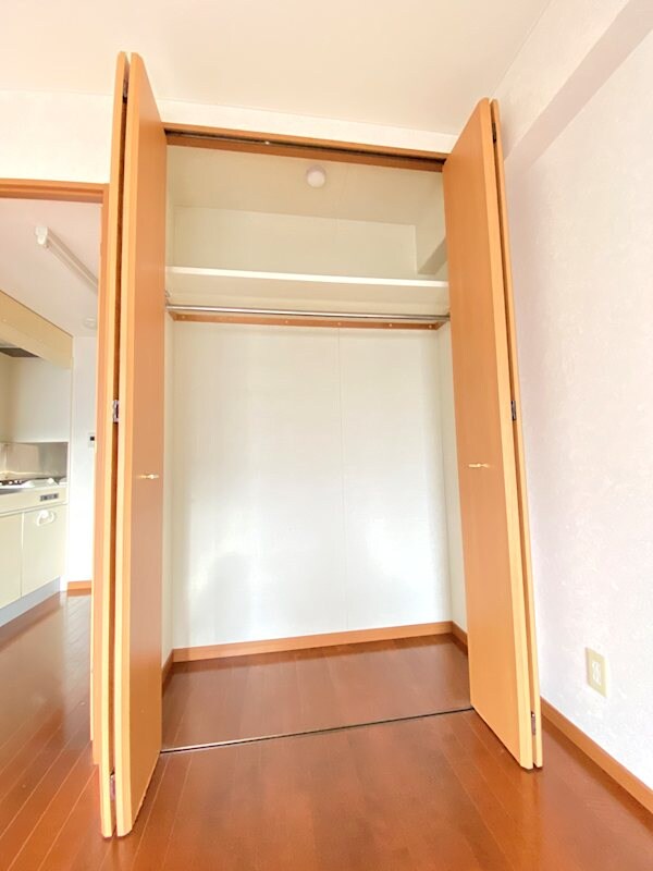 物件内観写真10　(洋室　クローゼット　※他部屋の参考写真です)