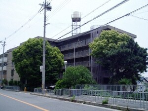 ハイツガーデニア外観写真