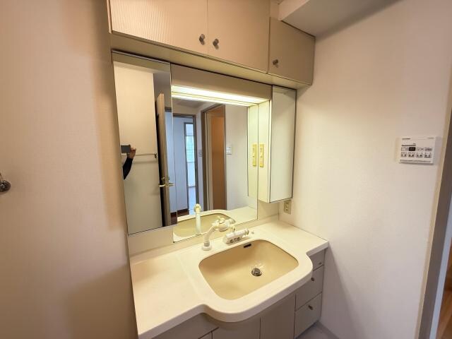 物件内観写真22　(シャンプードレッサー)