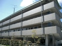 豊川グリーンハイツⅡ