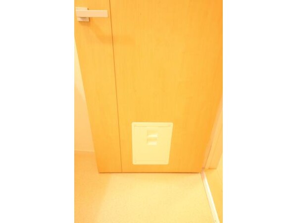 その他設備(ペットの通り道)