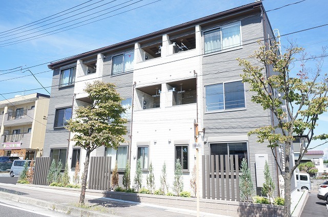 フィーゴ　菜根