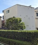 LE'A