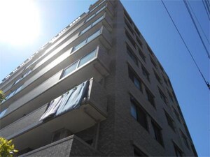 ナイスアーバン大島外観写真