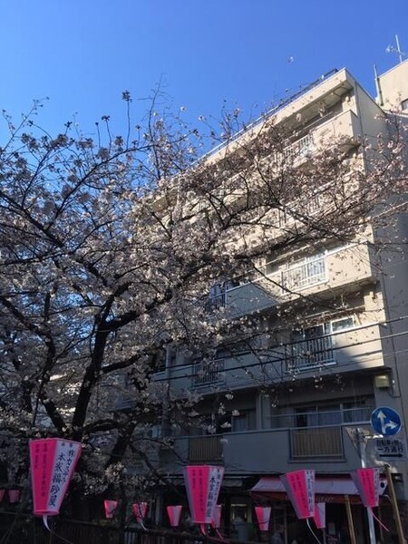 細井マンション外観写真