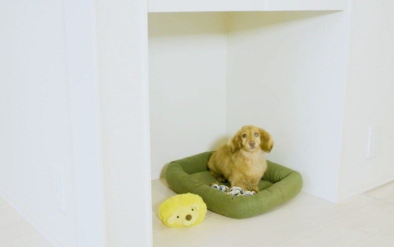 物件内観写真18　