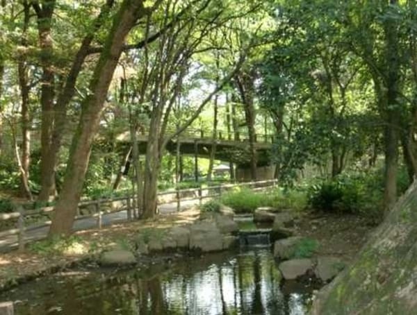 周辺環境(林試の森公園 849m)
