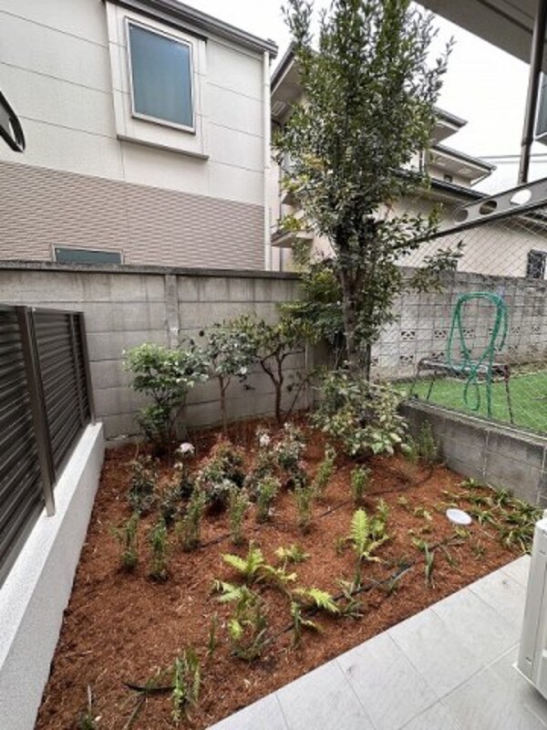 庭
