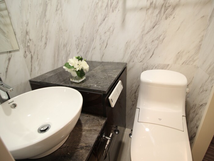 物件内観写真9　(トイレ左の蓋を開けると洗濯機があります。)