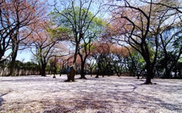 周辺環境(上野毛自然公園 549m)