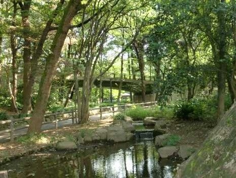 物件内観写真28　(林試の森公園 1009m)