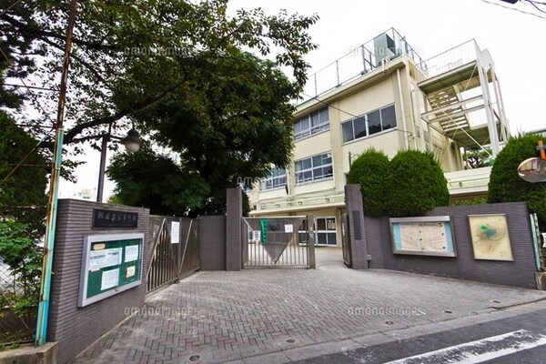 周辺環境(中野区立 桃園小学校 821m)