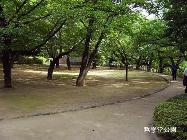 周辺環境(哲学堂公園 909m)