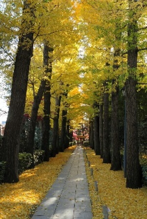 周辺環境(大田黒公園 1446m)