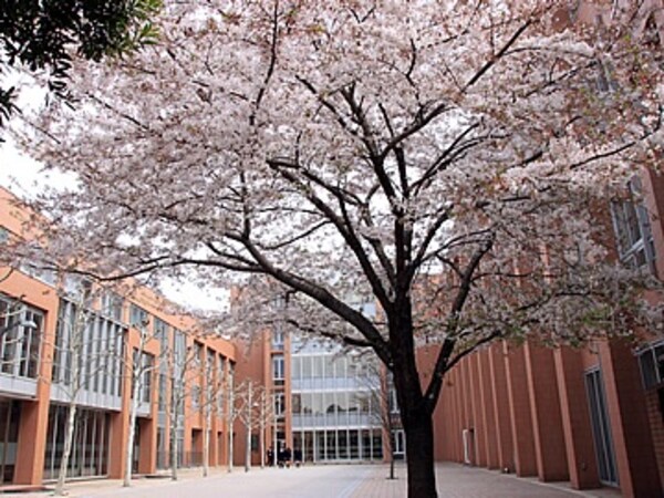 周辺環境(私立東亜学園高校 1035m)