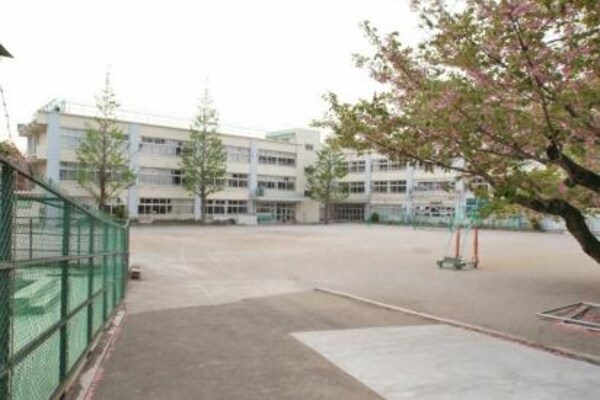 周辺環境(杉並区立 杉並第八小学校 1052m)